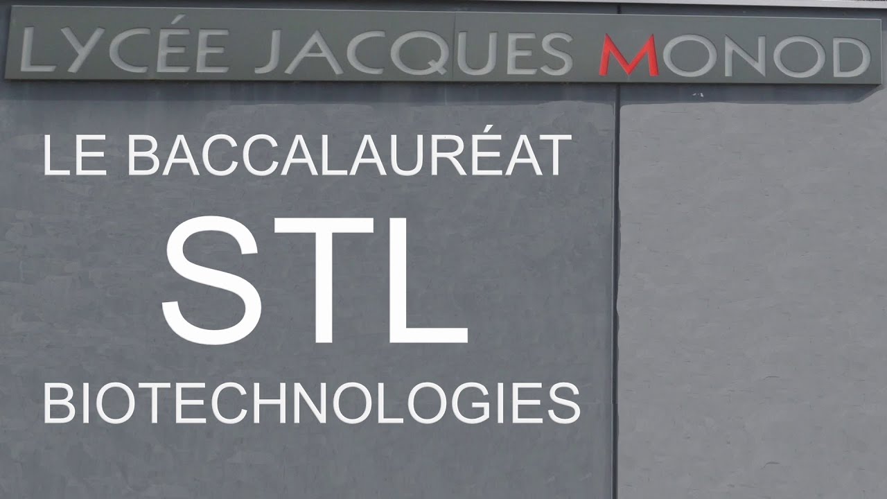 LE BACCALAURÉAT STL