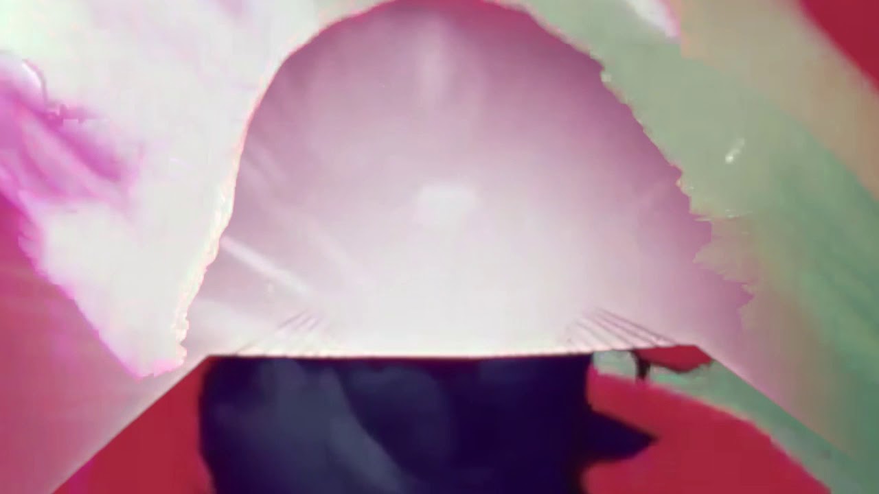 MGMT - Hand It Over (slowed)