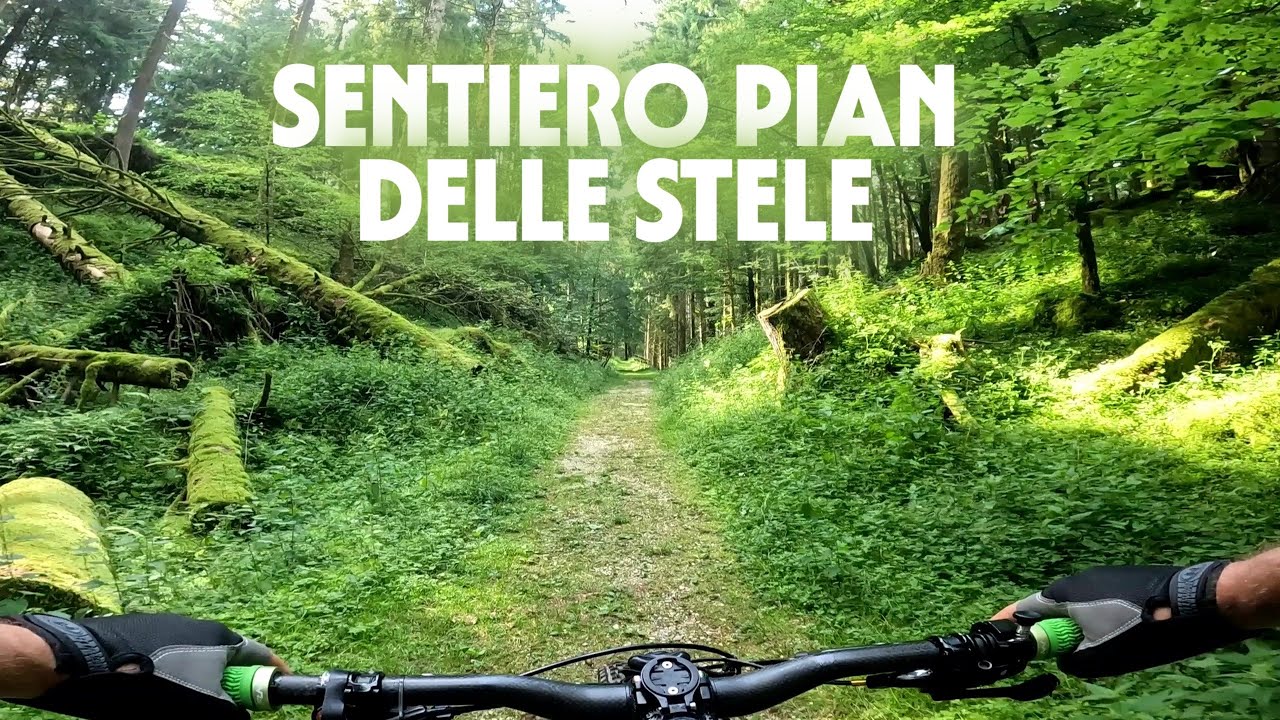 Sentiero Pian De le Stele + 1 con variante - Sentieri da non fare in Cansiglio. P.1