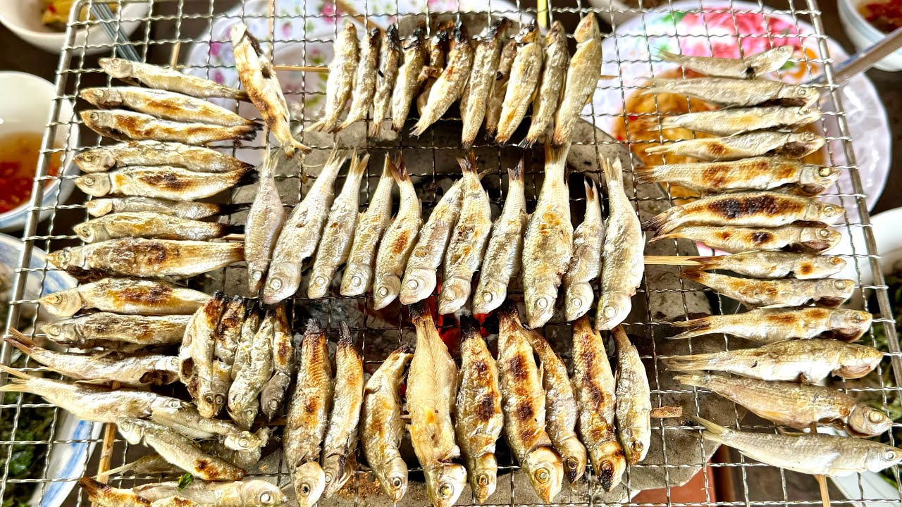 Cá Linh Nướng Mọi Chấm Mắm Xoài | Ếch Xào Lá Cách | TQMT #400