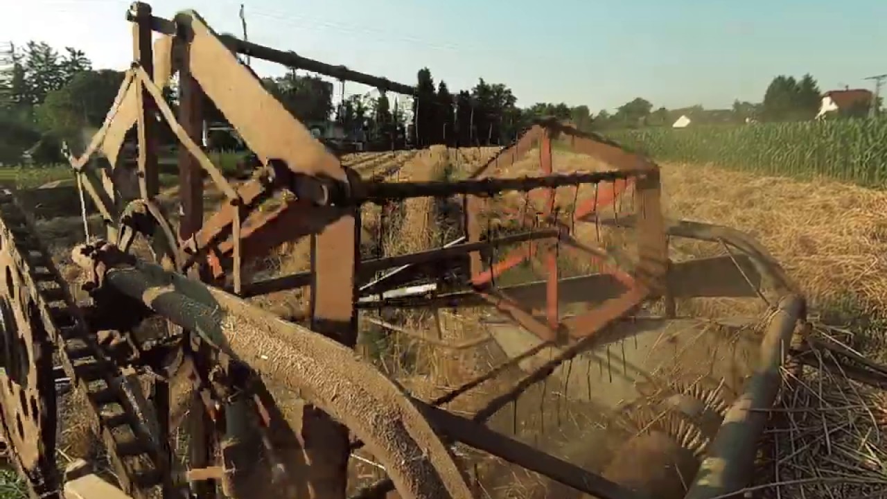 CLAAS COLUMBUS / ERNTE 2019