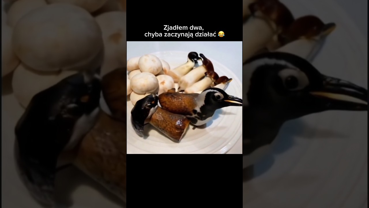 Grzyby 🍄‍🟫 