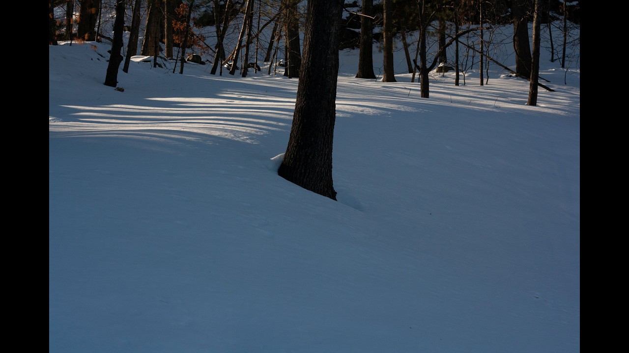 Soft-Spoken ASMR Painting — Sunlight on Snow Part 1 (1 Hour)