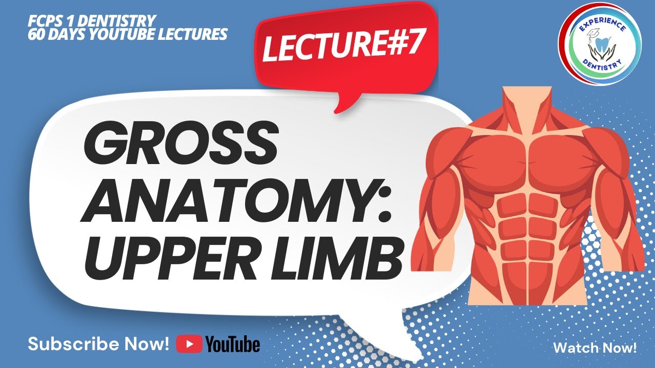 Gross Anatomy: Upper Limb | Lecture #7 | FCPS 1 Dentistry 60 Days Lectures