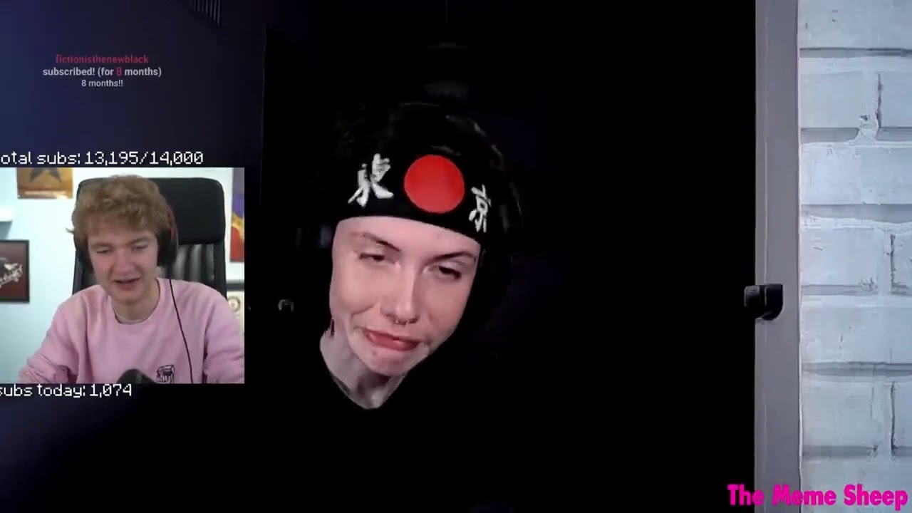 10 minutes of memes but they feel like 10 seconds