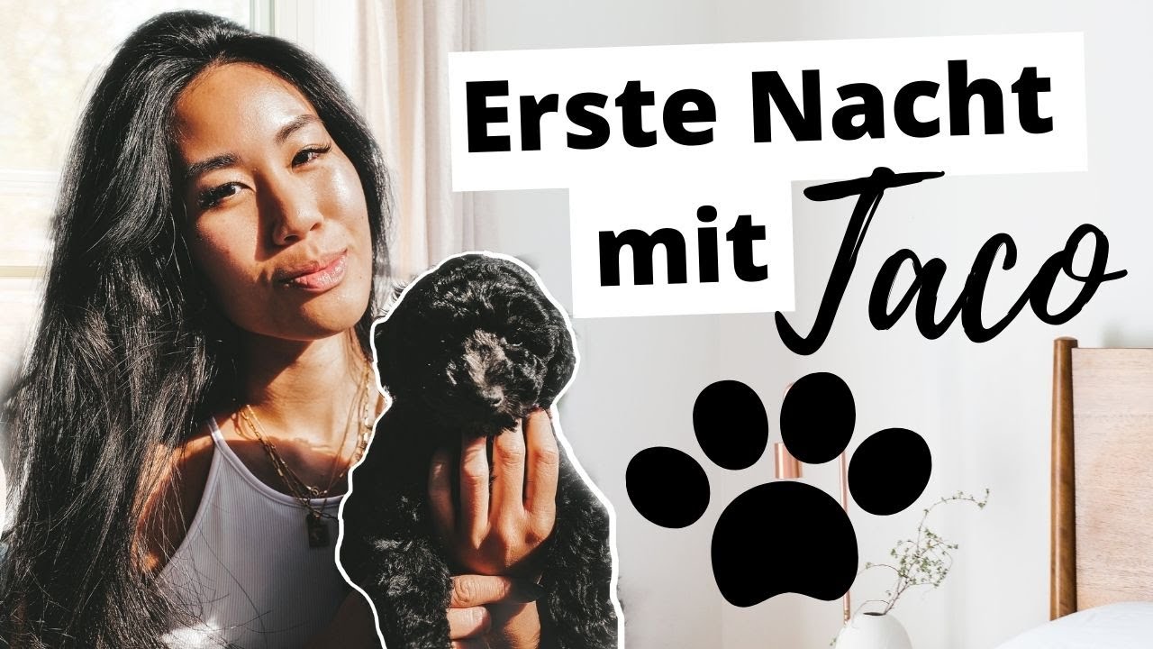 Das ist TACO! Unsere erste Nacht zusammen 😍 | VLOG
