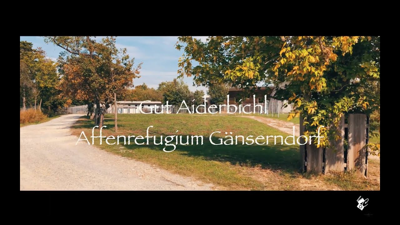 Gut Aiderbichl Affen Refugium G&auml;nserndorf