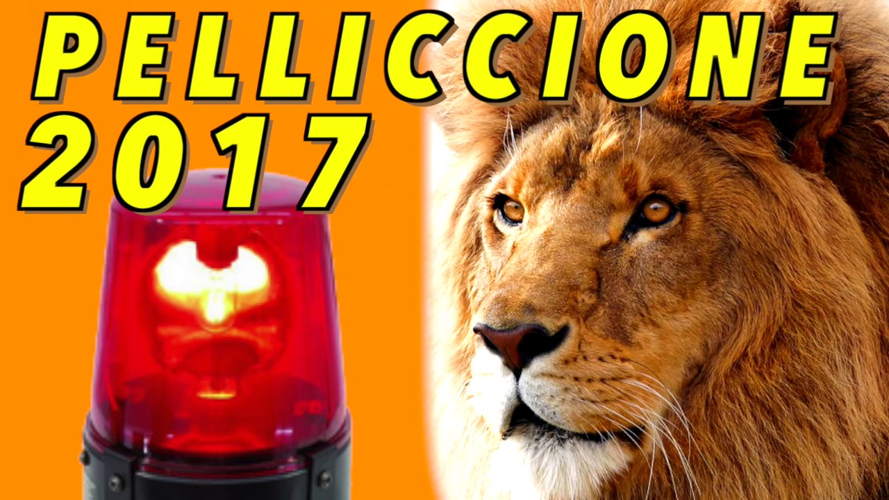 Pelliccione 2017 Official Medley (Paranza Leoni)