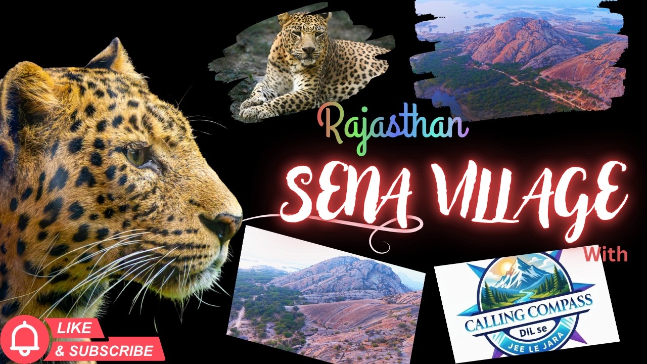 Leopard Safari in SENA VILLAGE with egal view 