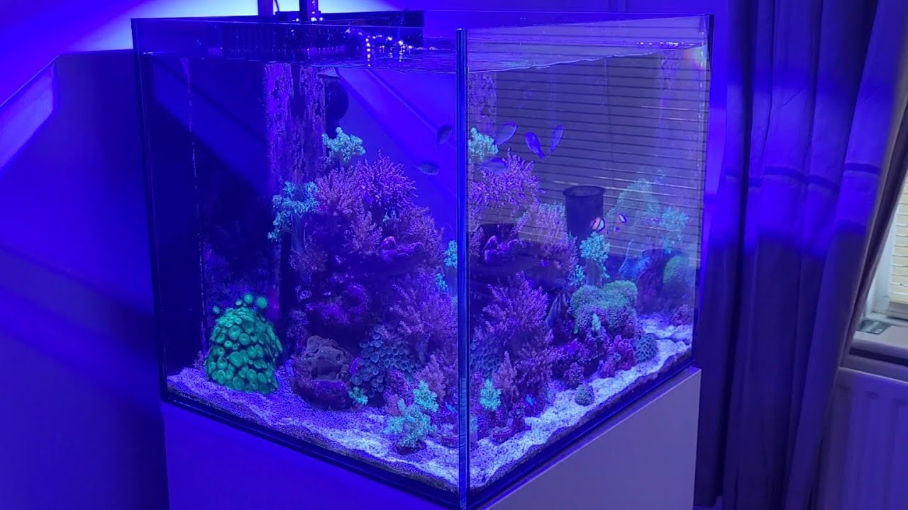 Aquaone Reefsys 180