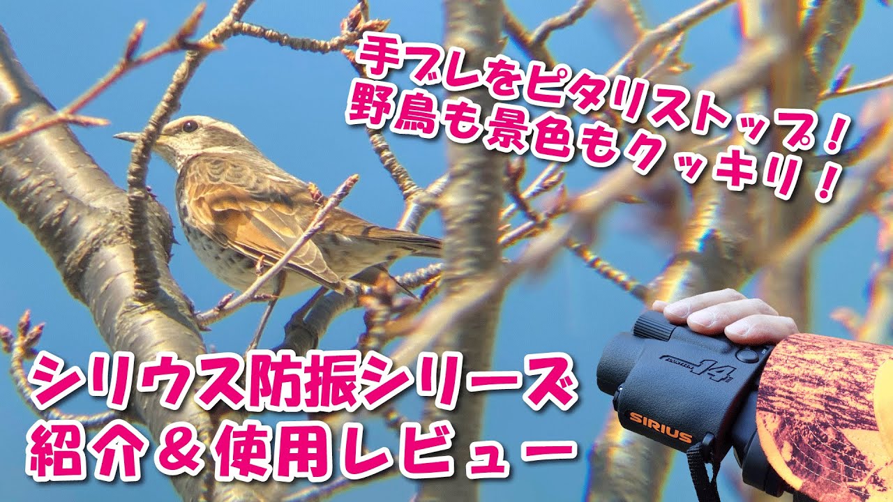 手ブレが止まる！ SIRIUS シリウス防振双眼鏡＆単眼スコープ を覗いてみた