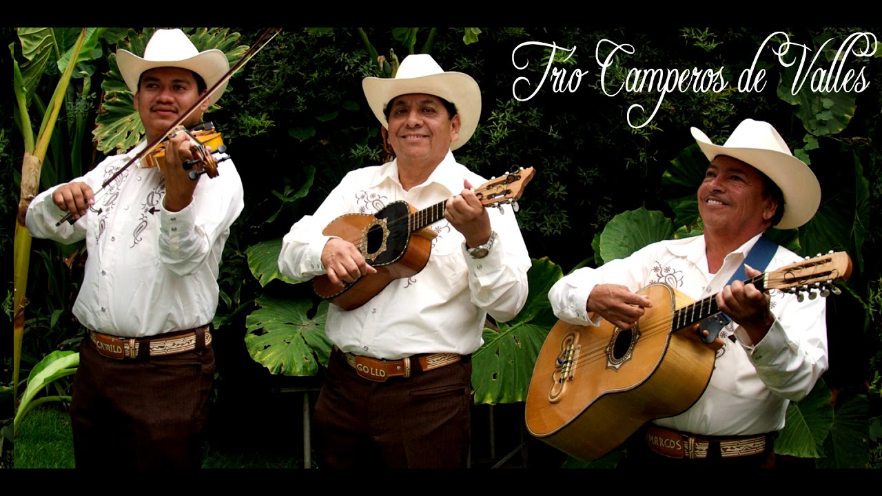 Camperos de Valles -  Huapangos Tradicionales
