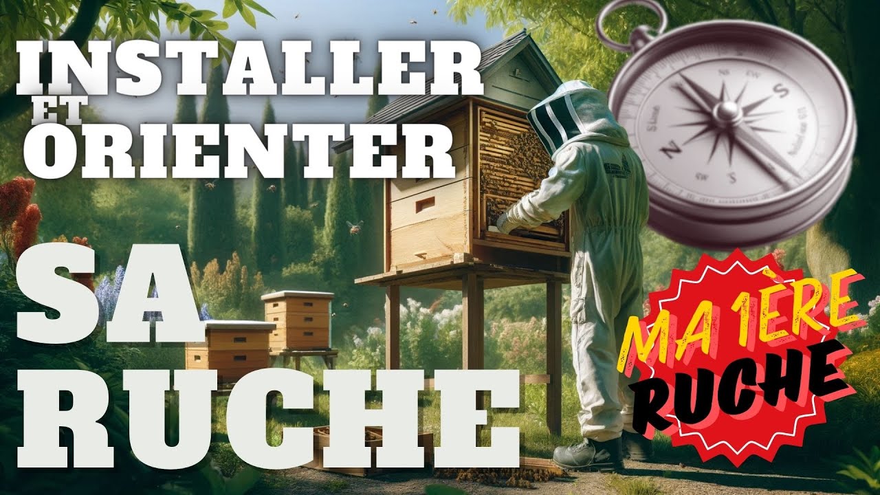 🌟 Le Guide l'Installation et l'Orientation de sa ruche ! 🐝🌿