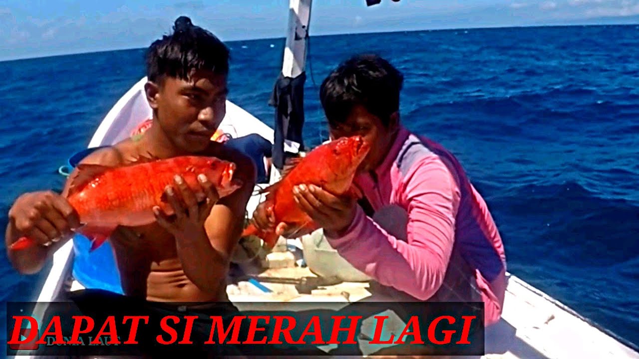 PASANG BUBU ISINYA KERAPU MERAH