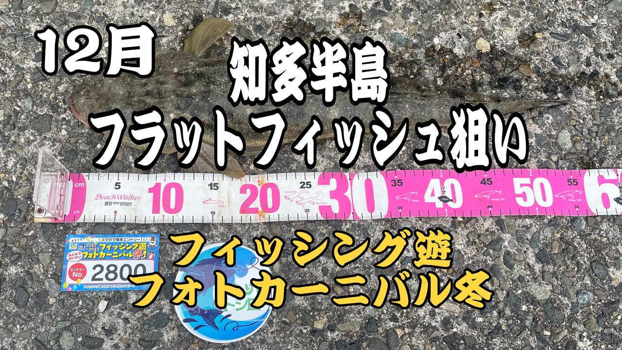 【知多半島釣り】12月のヒラメ・マゴチ狙い