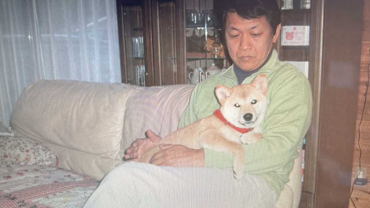 誰よりも柴犬あいちゃんを愛してくれた父について