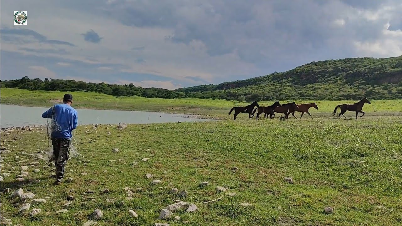 hicimos una pesca de tilapias gigantes en esta sierra con Jaime y Eduardo