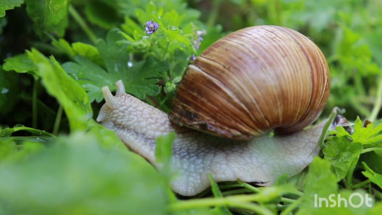 Beautiful Piano Music. Relaxing Music. Deep Relaxation. Stress Relief.