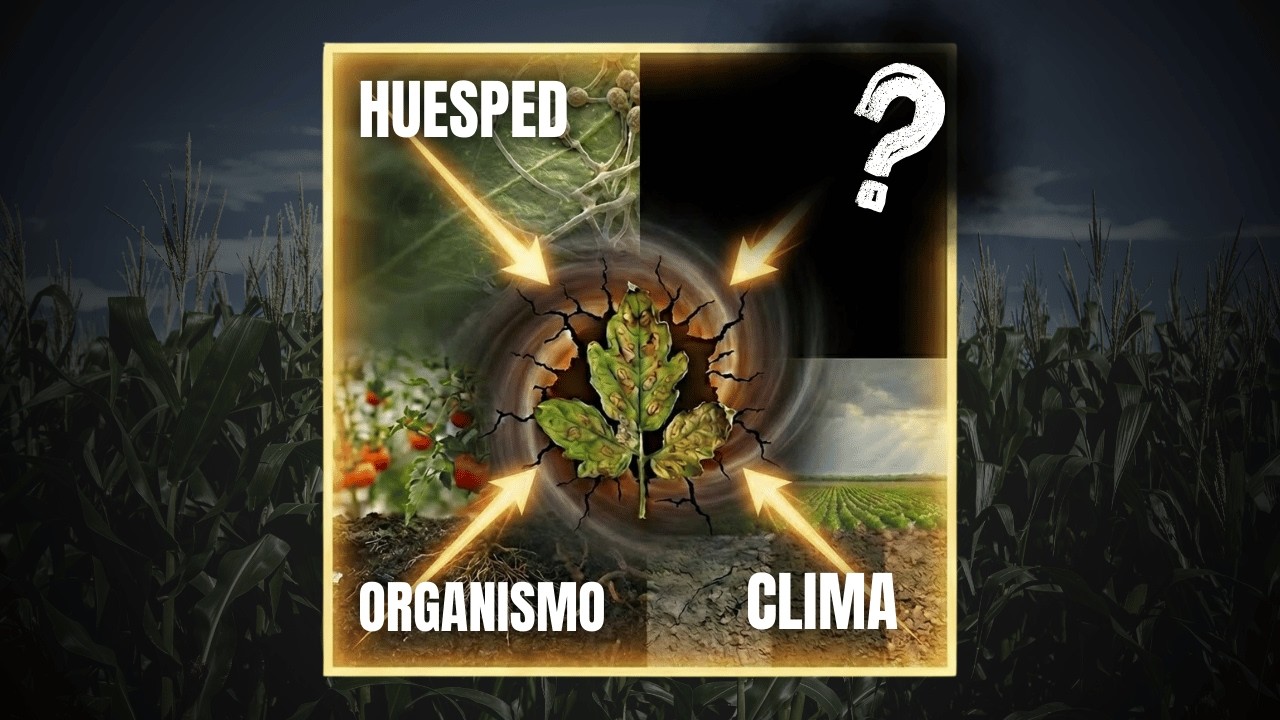 Este ERROR arruina tu cultivo sin que lo sepas