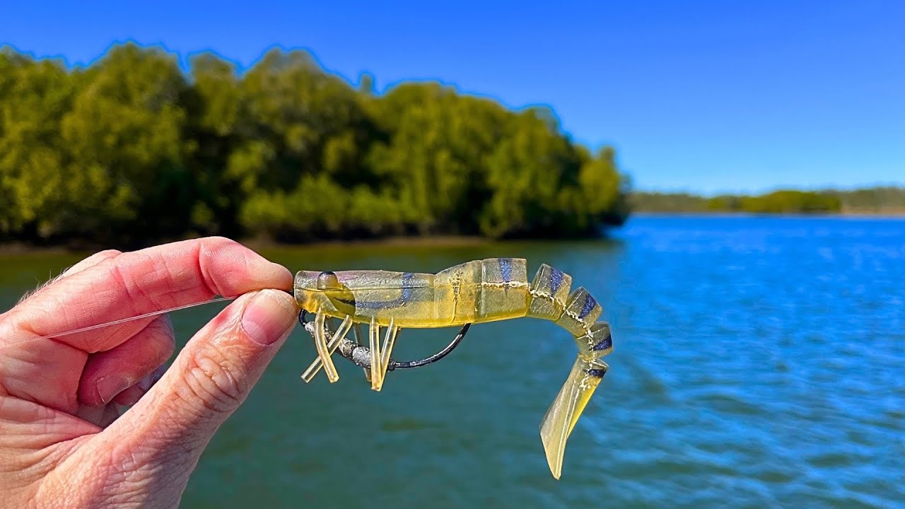 Fishing with Lifelike SHRIMP Lures