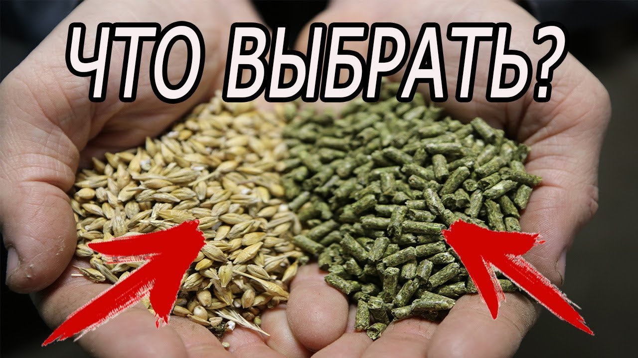 ЧЕМ КОРМИТЬ КРОЛИКОВ? МОЯ ЭВОЛЮЦИЯ В КОРМЛЕНИИ!