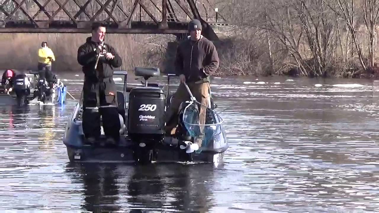 Peshtigo River Walleye