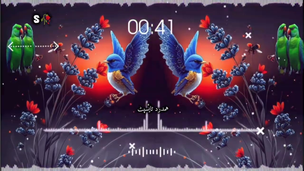 یم ہی لہورہ شم زہ کہ تہ قربان کہ شہید شولی