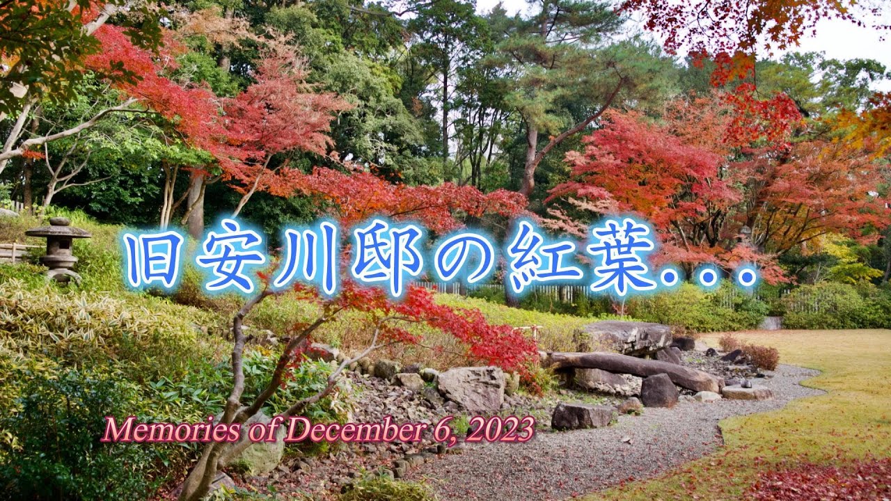 旧安川邸 -紅葉を楽しむ-