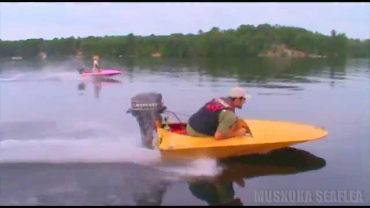Moore Lake Mini Most Seafleas - Brad and Julie Marquardt