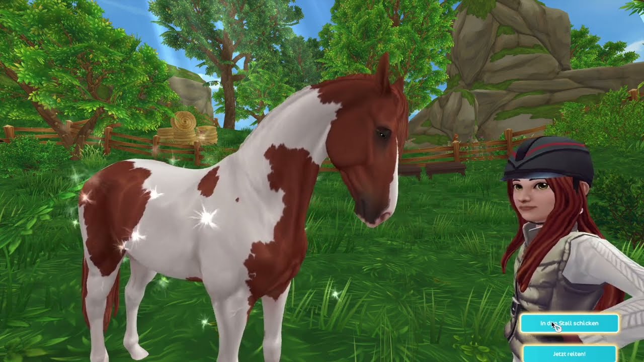 Pferdekauf Selle Francais (Star Stable)