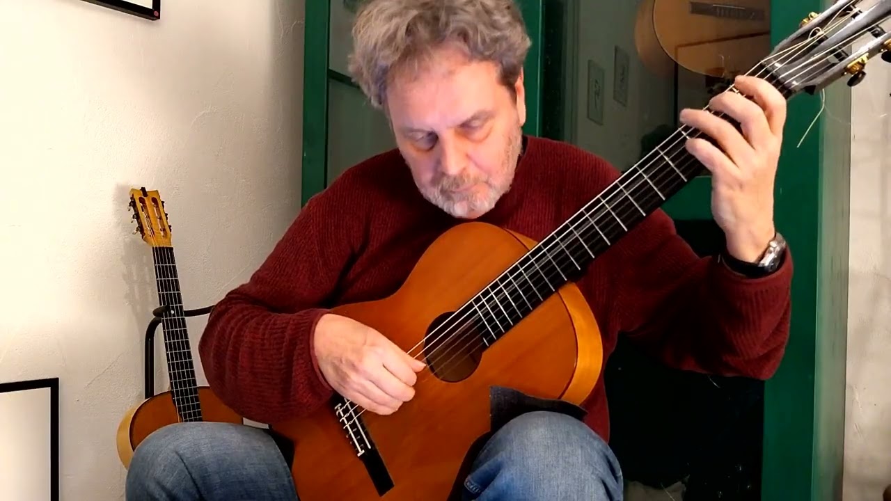 Antitomaso - La chitarra per i ragazzi - La farfalle sui fiori
