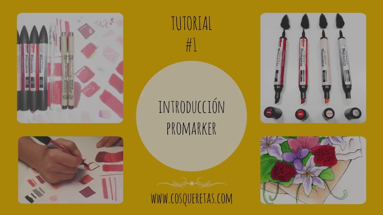 Tutorial 1 Iniciación Promarker