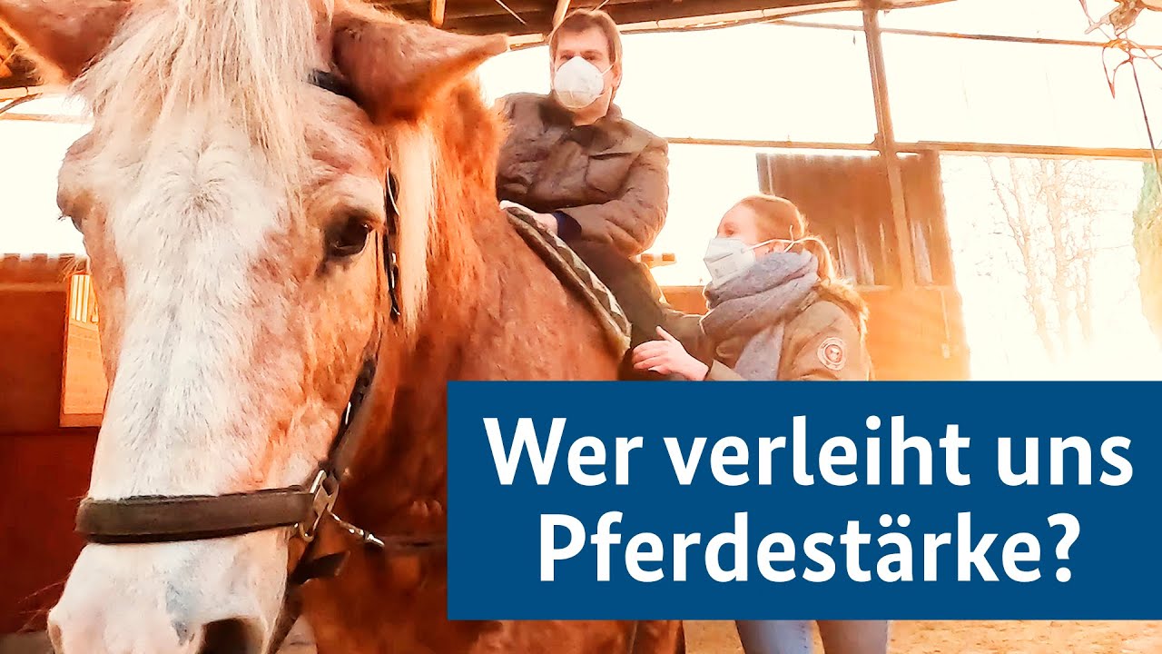 Ehrenamt: Wer verleiht uns Pferdestärke?