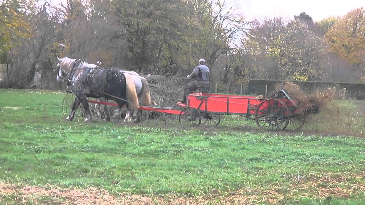 Epandage de fumier par traction animale, fait par Les Roulottes de la Suisse-Normande