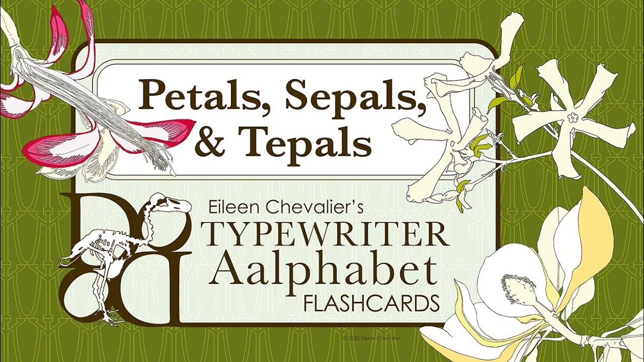 Botany Lesson 16: Petals, Sepals, & Tepals with Eileen Chevalier