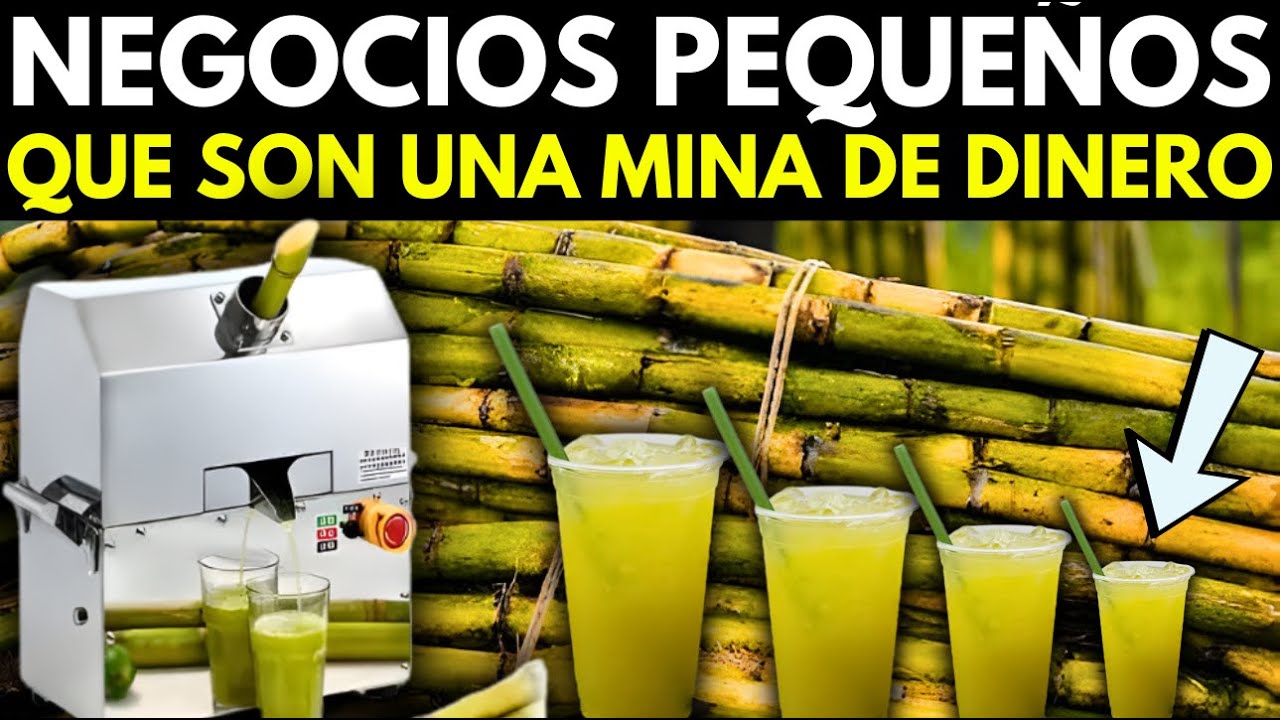 20 NEGOCIOS PEQUEÑOS QUE DEJAN MILES DE DÓLARES AL MES | PAGAN MÁS QUE UN EMPLEO