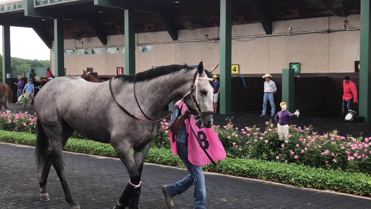 Kentucky Derby Opening Season 2019 Harrahs Louisiana Downs