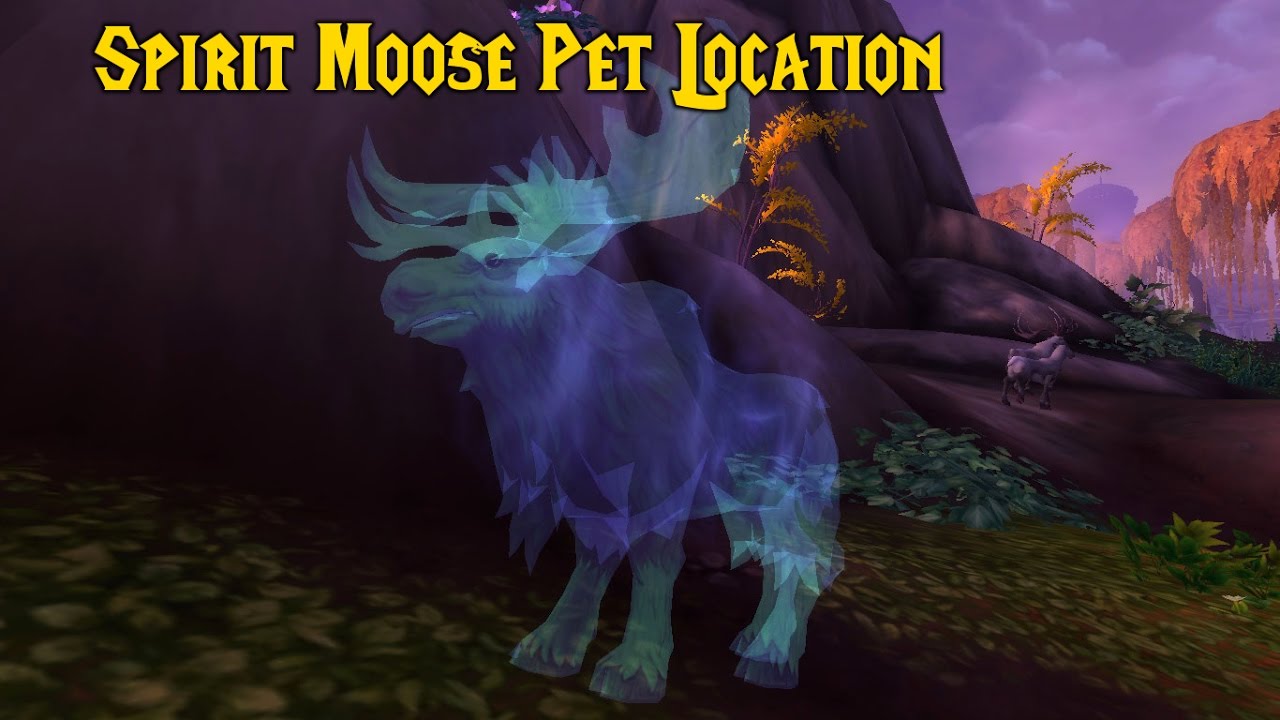 Bulvinkel (Spirit Moose) - BM Hunter Pet Location | Without Legion Flying