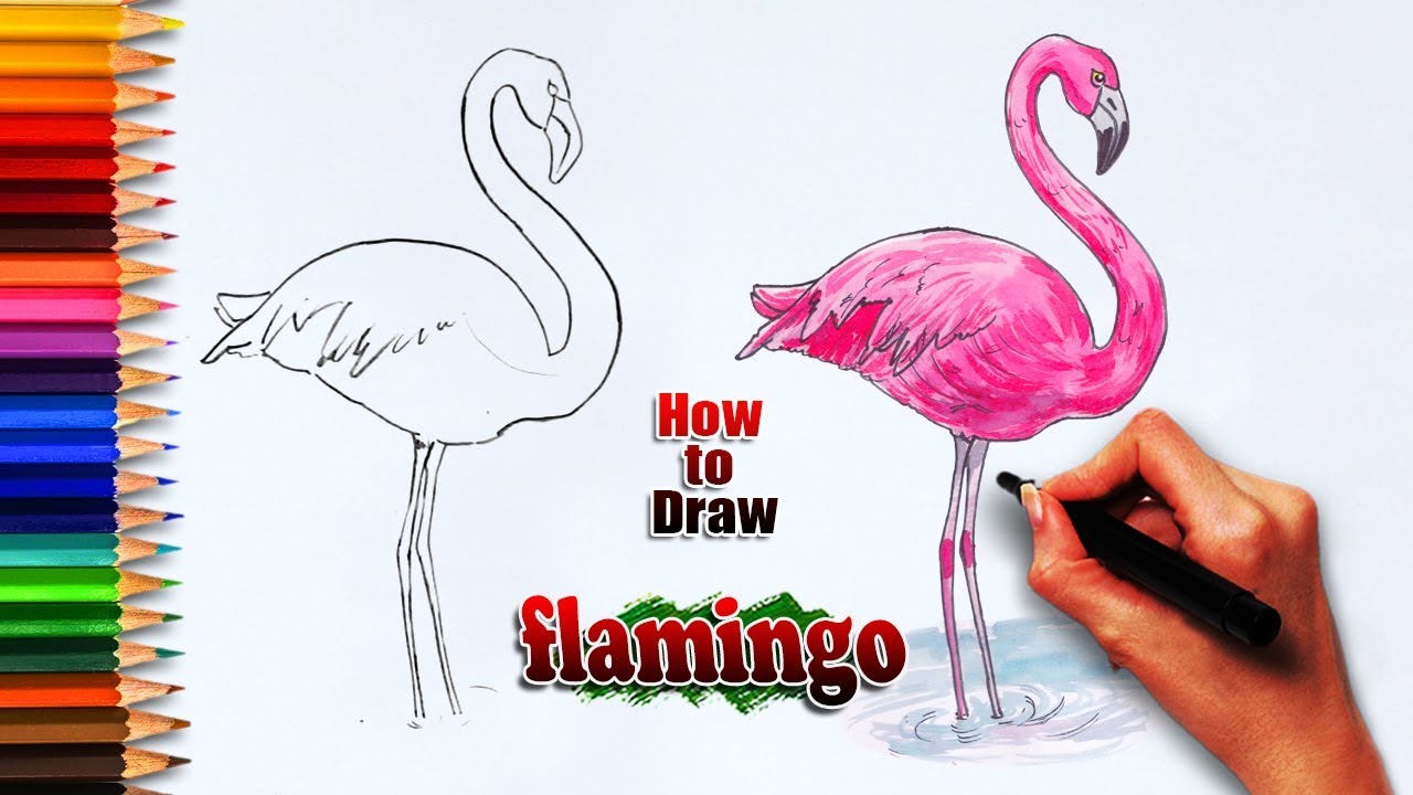 How to draw flamingo || flamingo drawing || Bird painting tutorials || Easy drawing step by step