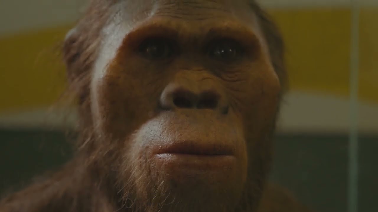 Taung Child: The Skull That Changed Human History