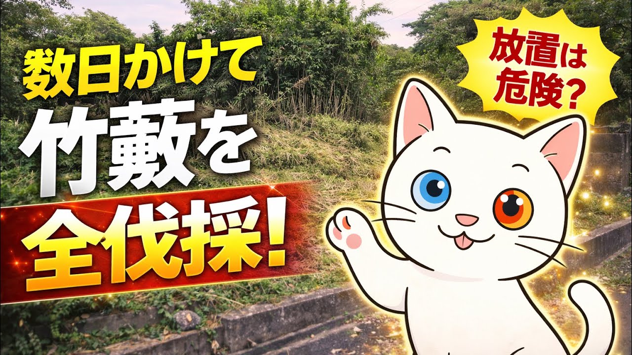 正直ナメてた…竹藪の現実｜数日かけて全て刈りました