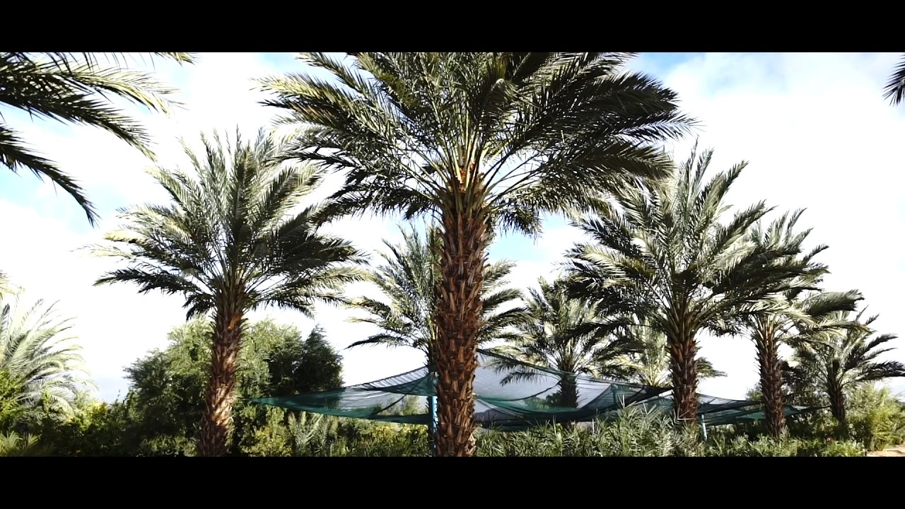 GAIDIP 2023
