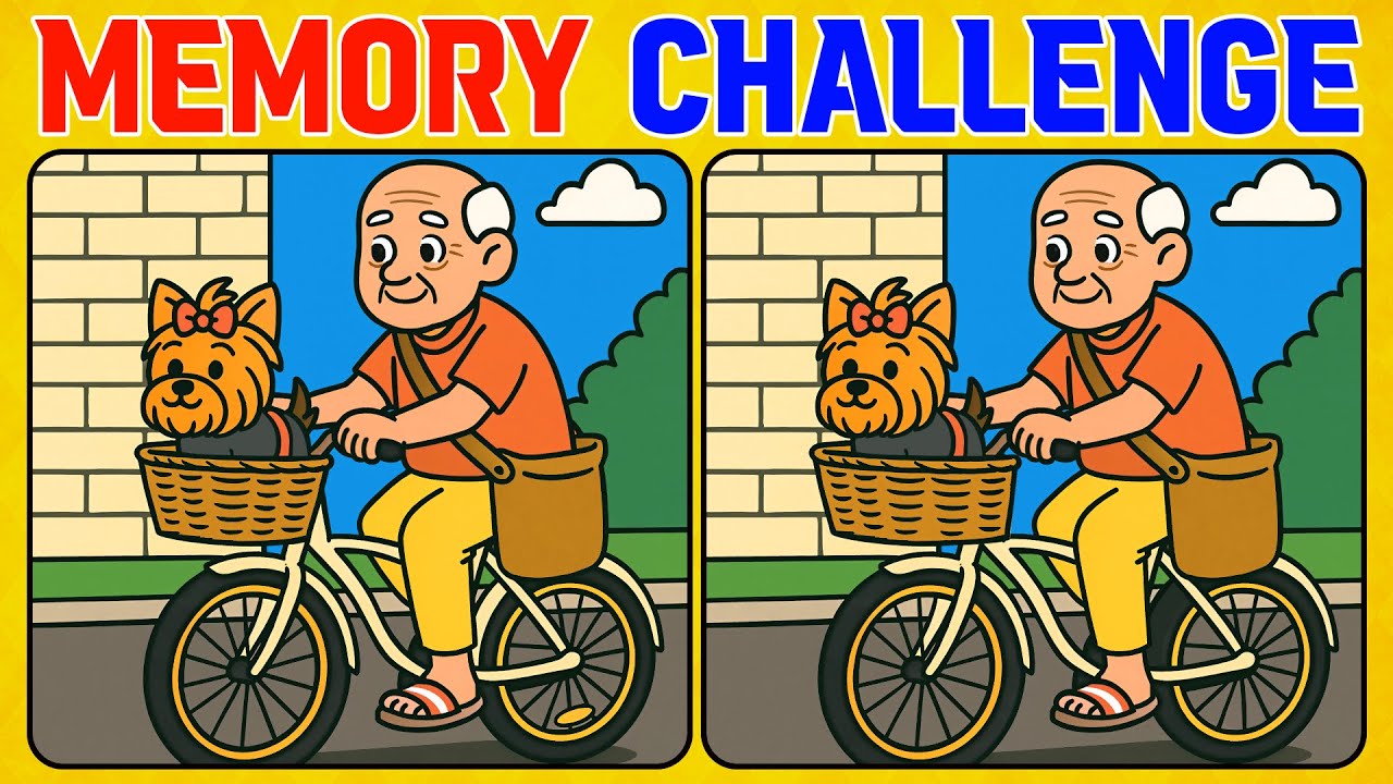 Let’s See Who Outsmarts Them All! (A Bit Tricky)