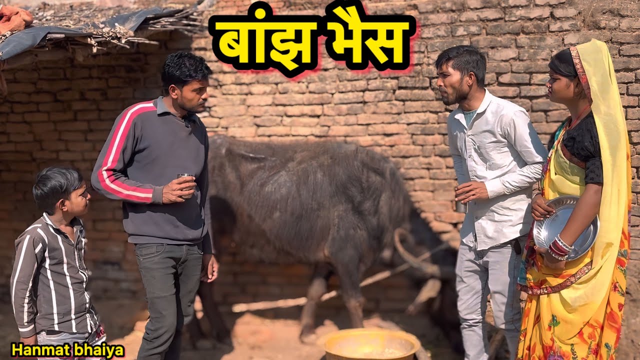 बाँझ भैस !! Bundeli comedy !! Hanmat ki comedy !!total ki comedy !! Pappu ki comedy !! Baanjh bhes 