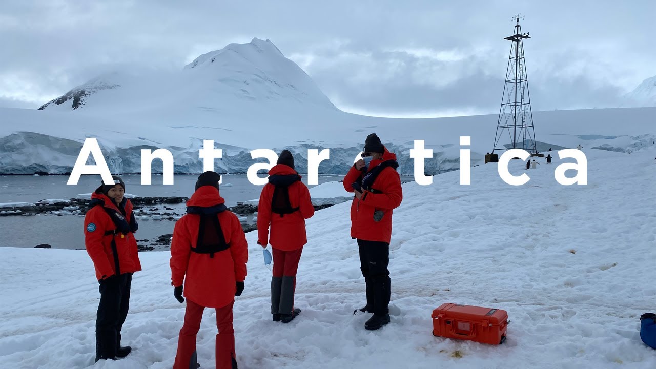 Antarctica Unveiled: A Journey to the Bottom of the World