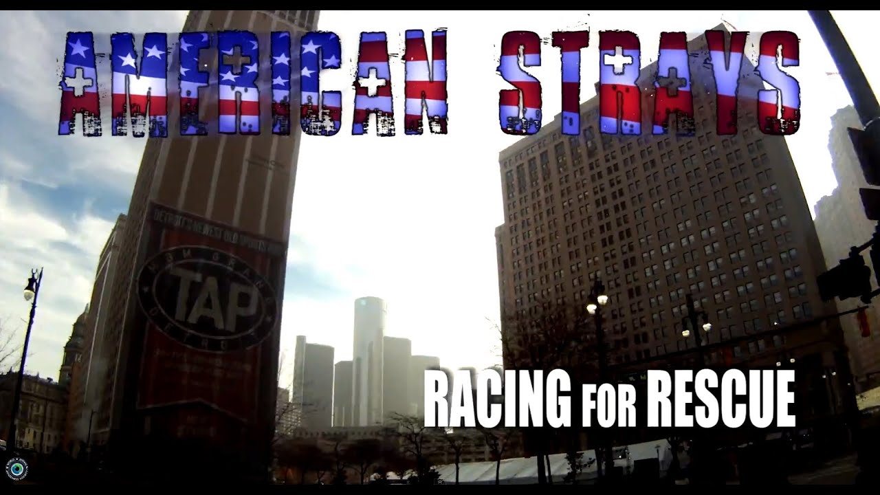 Racing For Rescue - American Strays the series *bonus episode* Hope For Dogs Like My DoDo