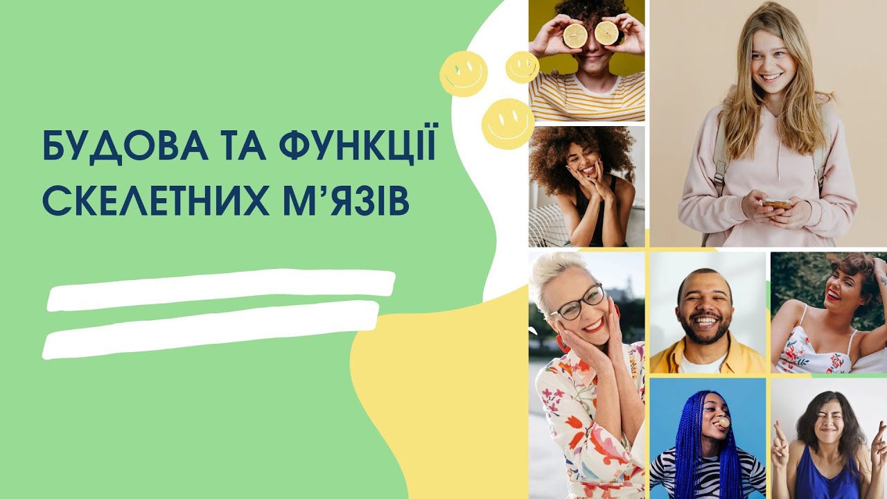 Будова та функції скелетних м’язів