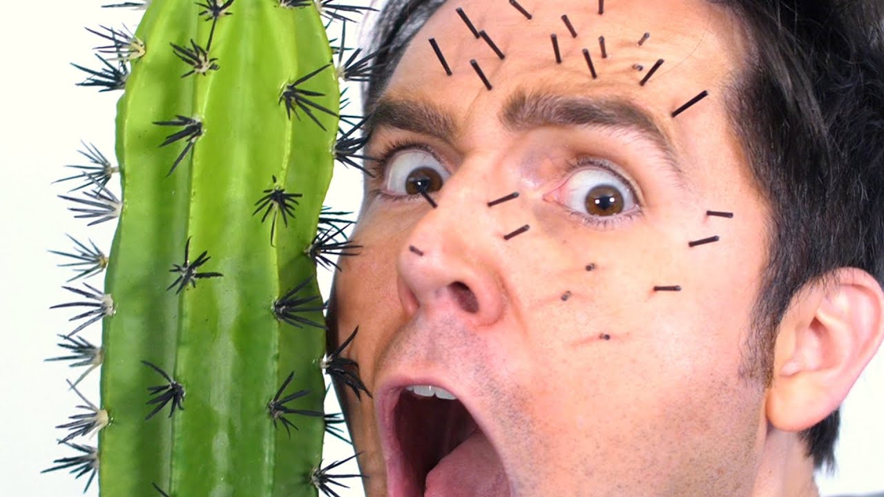 Cactus In Face!