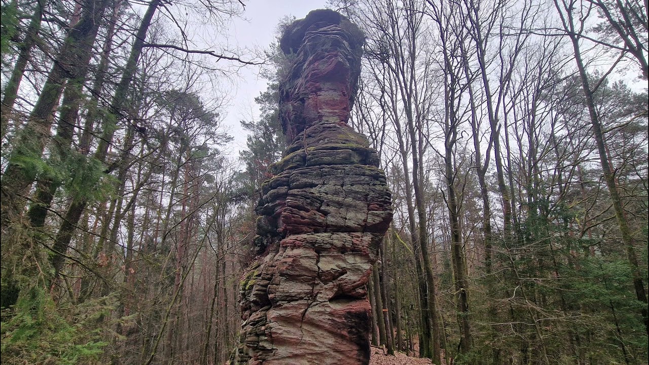 Wandern in der Pfalz   》Die Hahnfels -Tour bei Erfweiler 《