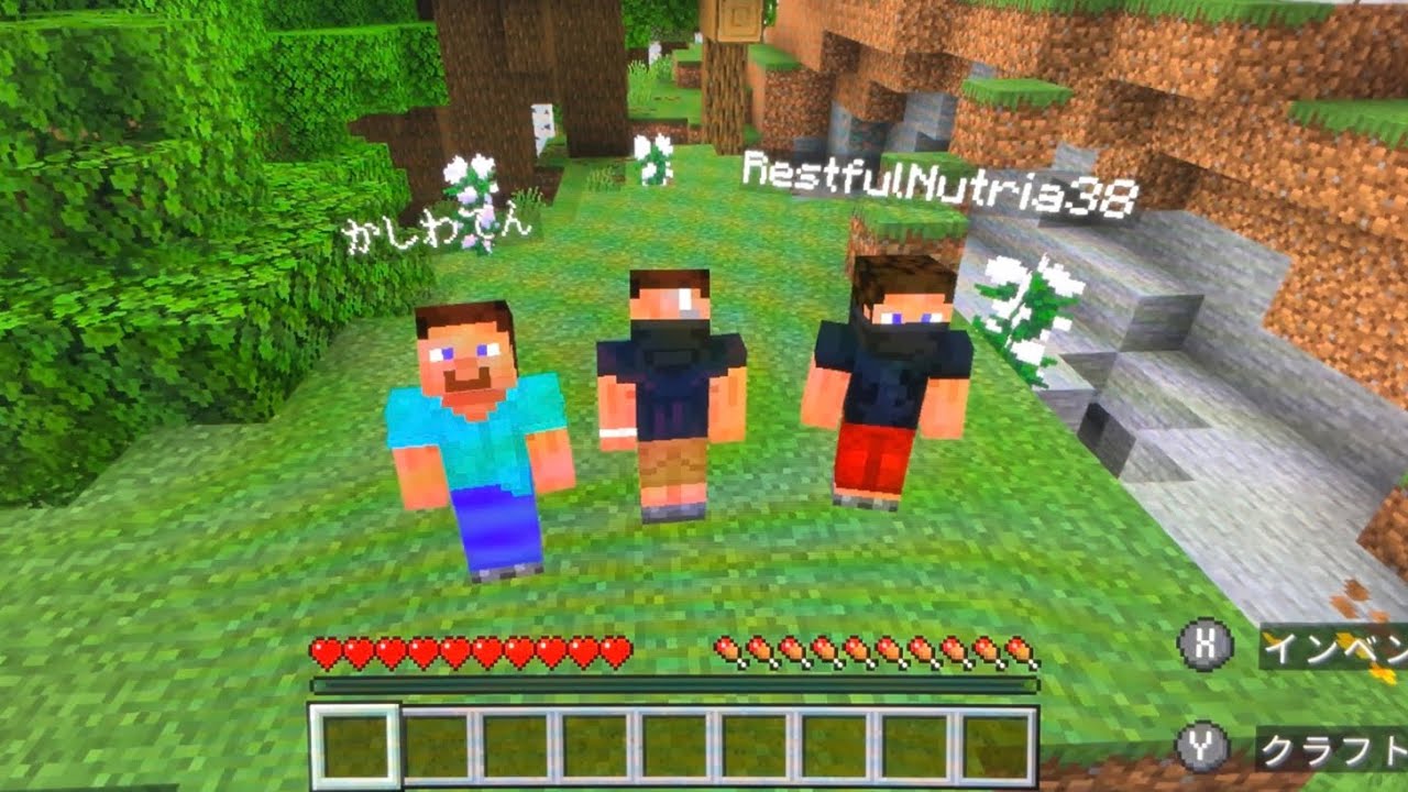 ￼かしわてんとクレジットカードMinecraft part￼1￼